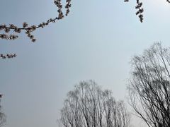 -北坞公园