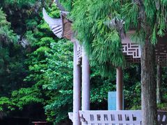 -玉苍山国家森林公园