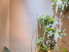 -奈雪的茶(石家庄万象城店)