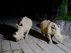-杭州野生动物世界
