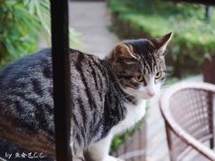 -马勒别墅·中餐厅