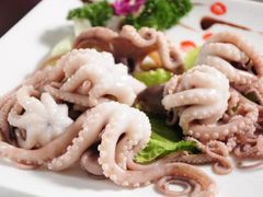八爪鱼-棠宴酒店(汉口学院店)