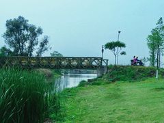 -三垟湿地