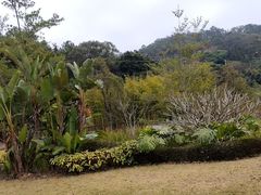 -国恩寺