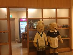 -济州岛泰迪熊博物馆