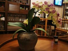 -仰生如卉推拿养生馆(酒仙桥店)