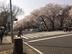 -名古屋城