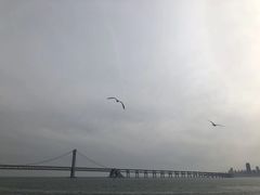 -星海湾跨海大桥