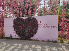 -北京凤凰岭