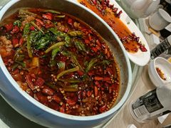 -宏宴·新京菜(望京店)