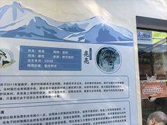 -青藏高原野生动物园
