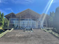 -武陵山森林公园