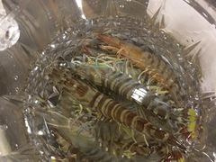 -洞仙锅(花园街店)