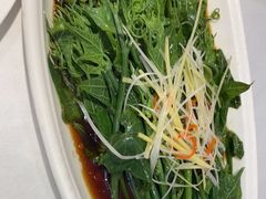 -蜀龙阁· 龍头水煮鱼(天坛店)