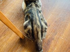 -参差咖啡(水果湖公园店)