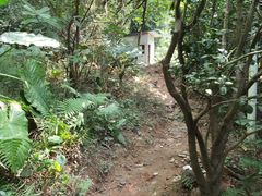-广州市白云山风景名胜区