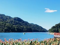 -广州市石门国家森林公园