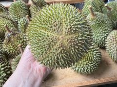 -阿龙榴莲摊