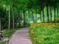 -天津东丽湖风景区