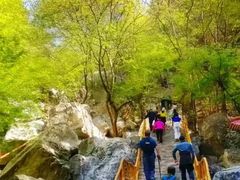 -北京上方山国家森林公园
