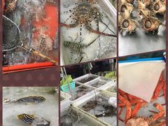 -拉威海鲜市场