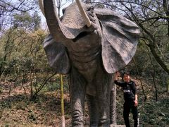 -石燕湖生态旅游景区