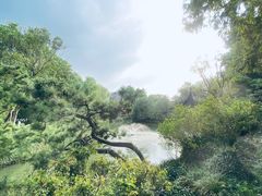 -上海醉白池公园