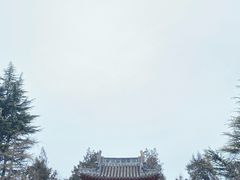 -洛阳白马寺