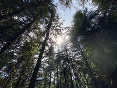 -硗碛藏寨·神木垒景区