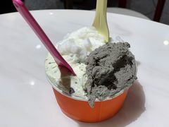 水泥黑芝麻-Dal Cuore 达可芮冰淇淋(陕西北路店)
