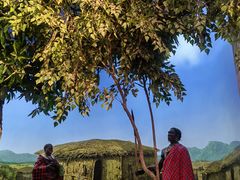 -国家自然博物馆