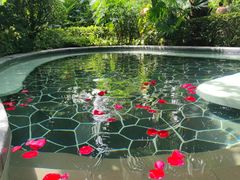 -海兰云天度假区温泉