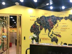 -杨梅红艺术教育(万象城校区)