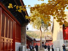 -承恩寺