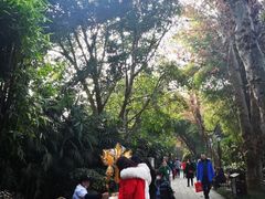-望江楼公园
