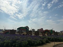-嘉北郊野公园