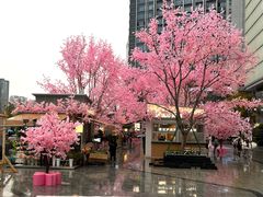 -首开·龙湖成都西宸天街