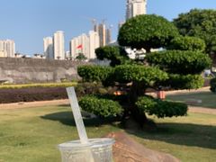 -石炮台公园