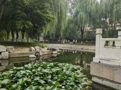 -丰台科技园生态主题公园