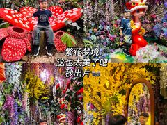 -正佳雨林生态植物园