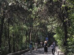 -云龙山