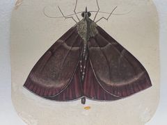 -上海当代艺术博物馆