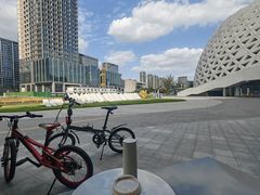 -ALAMB八角杯咖啡(金沙湖大剧院店)