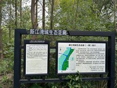 -新江湾城公园