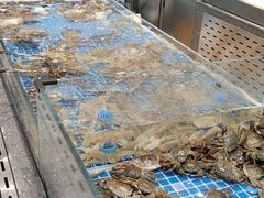 -半岛听涛蒸汽海鲜自助(K11店)