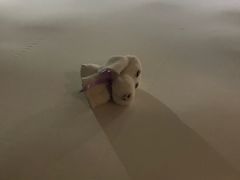 -广州中国市长大厦