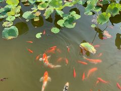 -西海子公园