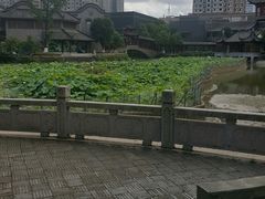 -龙潭水乡