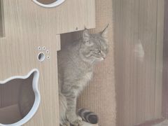 -青藏高原野生动物园