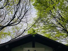 -中国茶叶博物馆(双峰馆区)